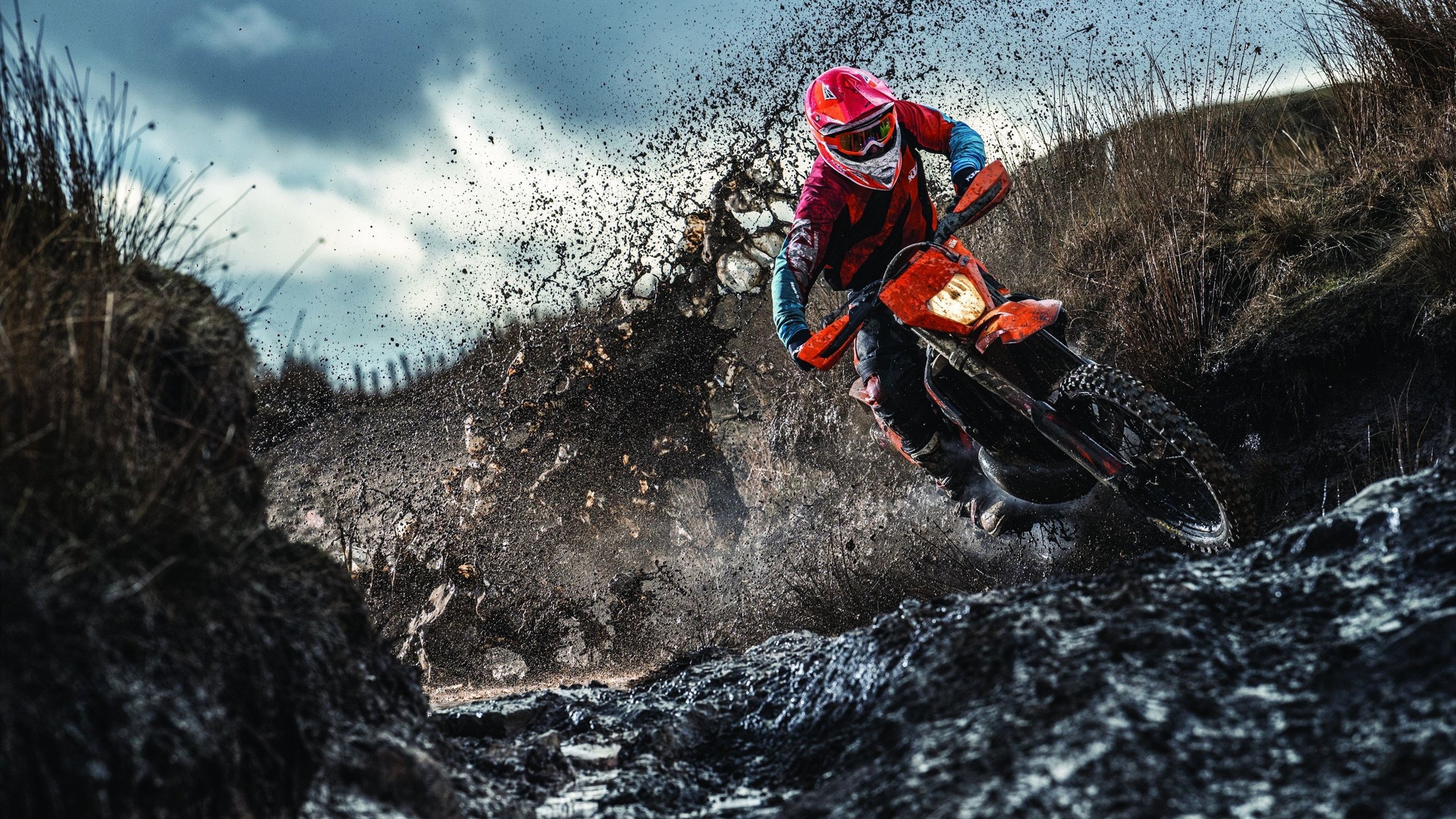 跳水配合韩国表现愈发成熟，韩国跳水队搞笑视频